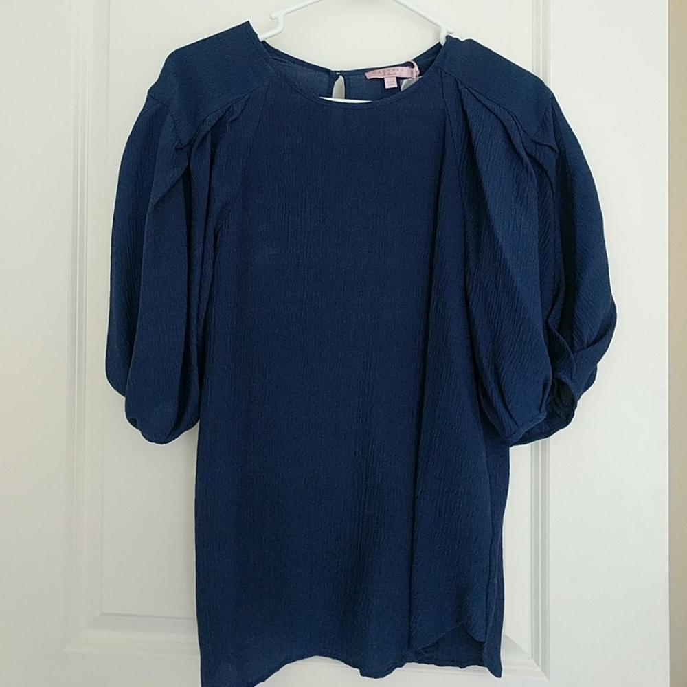 Putty sleeve navy blouse